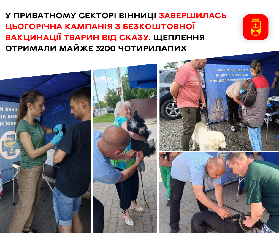 У приватному секторі Вінниці завершилась цьогорічна кампанія з безкоштовної вакцинації тварин від сказу. Щеплення отримали майже 3200 чотирилапих